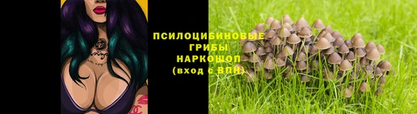 spice Аркадак