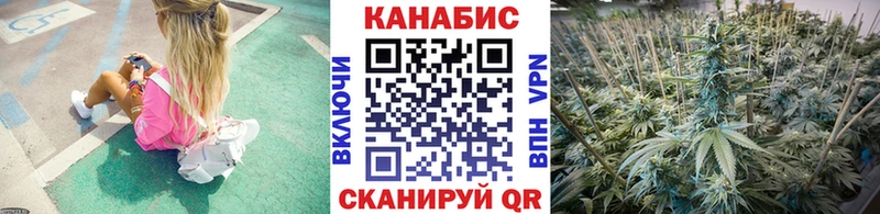 Шишки марихуана марихуана как найти закладки Мыски